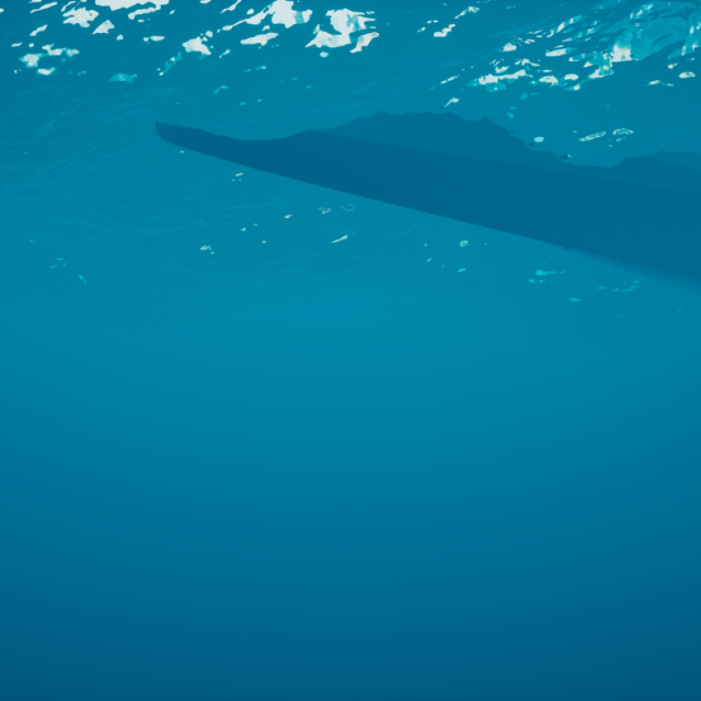 Feasibility study Unmanned Dipping Sonar Boat Feasibility study Unmanned Dipping Sonar Boat